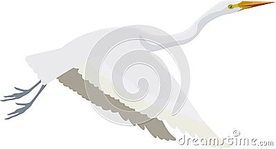 Vector Great white heron Vector Illustration