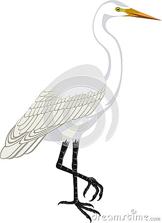 Vector Great white heron Vector Illustration