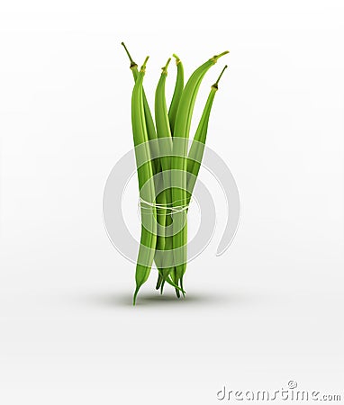 Vector green beans bound sheaf isolated on white background Vector Illustration