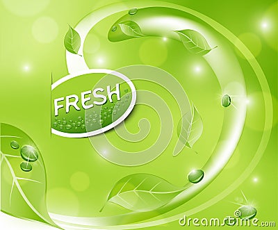 Vector green fresh background with leaves Vector Illustration