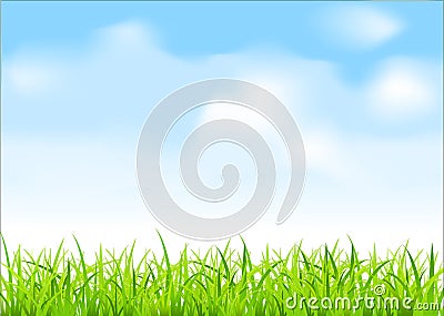 Vector green grass and blue sky Vector Illustration