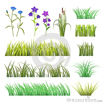 Vector green grass herb and flowers nature isolated on white background design template grassy elements illustration Vector Illustration