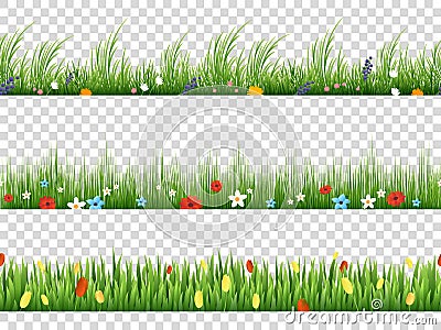 Vector green grass and spring flowers nature border patterns on transparent background Vector Illustration