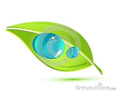 Vector green leaf Stock Photo