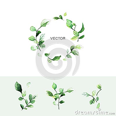 Vector green leaf wreath with place for text and set of branches with leaves in watercolor style. Vector Illustration