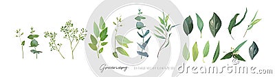 Vector green leaves, seeded eucalyptus branches set. Watercolor jasmine flowers twig. Editable designer elements set. Sage, green Vector Illustration