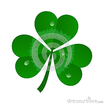 Vector green realistick clover on white background Vector Illustration