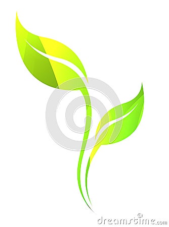 Vector green spring leaf isolated on white. Color eco icon. Vector Illustration