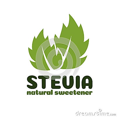 Vector green stevia leaves label Vector Illustration