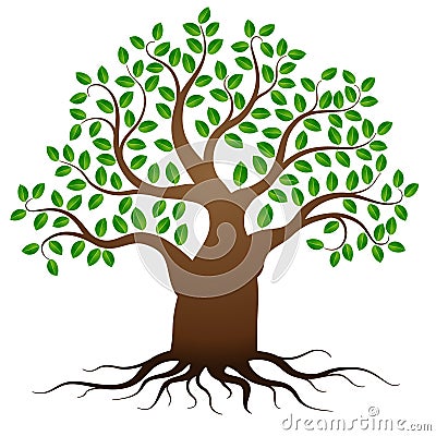 Vector green tree with roots Vector Illustration