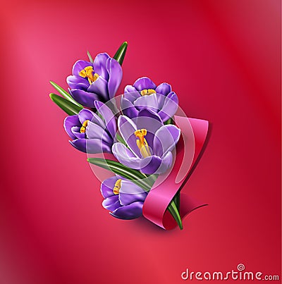 Vector greeting card with blue crocuses, red ribbon Vector Illustration