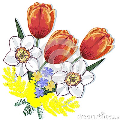 Vector flowers: bouquet of tulips, daffodils, mimosa and other spring flowers on a white background. Beautiful spring Vector Illustration