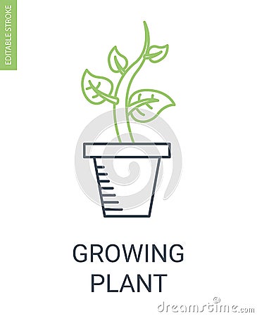 Growth plant icon Vector Illustration