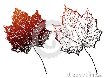 Vector grunge autumn leaves. Vector Illustration