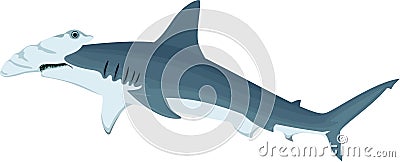 Vector hammerhead shark Vector Illustration