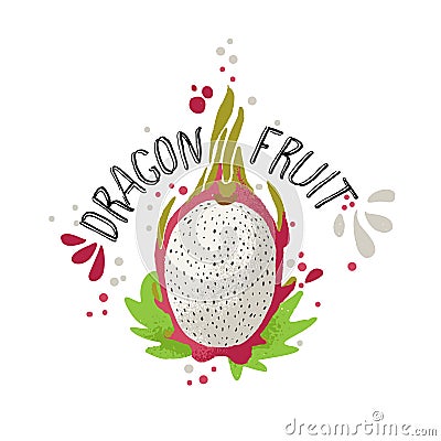 Vector hand draw colored dragon fruit illustration. White and red dragonfruit with pulp and fruit bones and green leaves Vector Illustration
