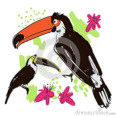 Vector hand draw illustration of tropical birds - carrots, toucans with paint drops, abstract elements and pink tropic Vector Illustration