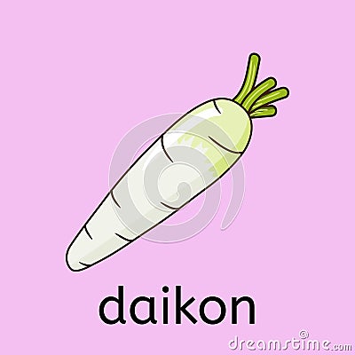 Vector hand draw vegetable - daikon (white radish) Vector Illustration