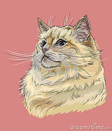 Vector hand drawing colorful cat 10 Vector Illustration