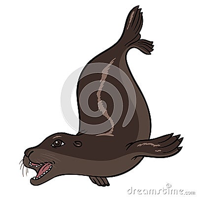 Vector hand drawing eared seal Vector Illustration