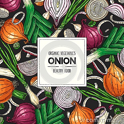Vector hand drawn banner with healthy onion Vector Illustration