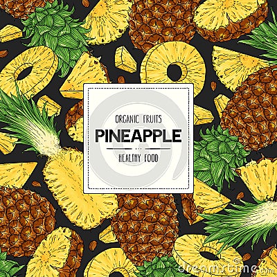 Vector hand drawn banner with organic whole pineapple, slices pieces, half and seed Vector Illustration