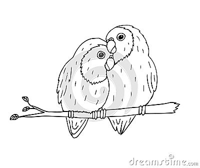 Vector hand drawn black lovebirds parrots pair Stock Photo