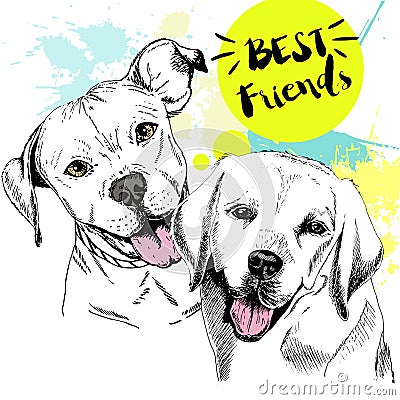 Vector hand drawn concept of labradoe retriever and pitbull terrier frienship. Best friends. Vector Illustration