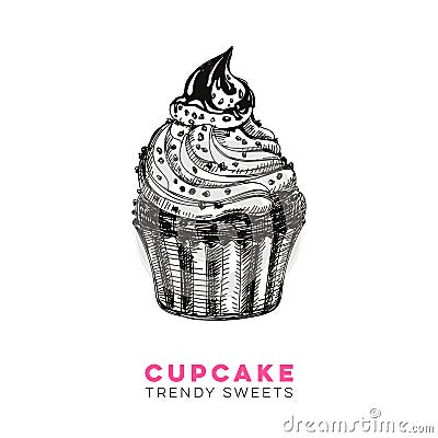 Vector hand drawn cupcake Illustration. Vector Illustration