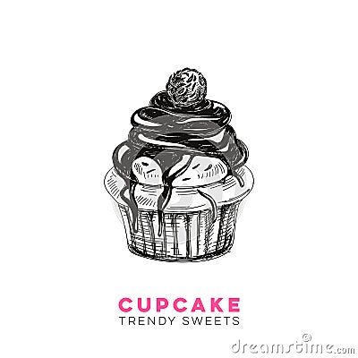 Vector hand drawn cupcake Illustration. Vector Illustration