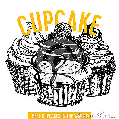 Vector hand drawn cupcake Illustration. Vector Illustration