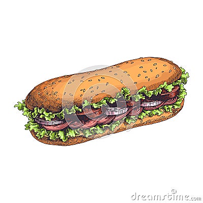 Vector hand drawn delicious sandwich with fresh Vector Illustration