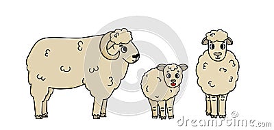 Vector hand drawn doodle farm family of animals. Cute cartoon Sheep mother female, father male and fluffy little lamb baby. Vector Illustration