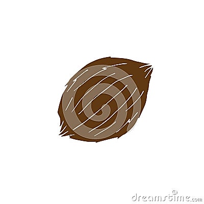 Vector hand drawn doodle sketch brown coconut Vector Illustration