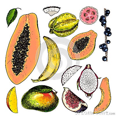 Vector hand drawn exotic fruits. Engraved smoothie bowl ingredients. Colored icon set. Tropical sweet food. Carambola Vector Illustration