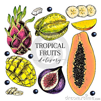 Vector hand drawn exotic fruits. Engraved smoothie bowl ingredients. Colored icon set. Tropical sweet food. Carambola Vector Illustration