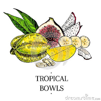 Vector hand drawn exotic fruits. Engraved smoothie bowl ingredients. colored icons. Tropical sweet food. Carambola, fig Vector Illustration