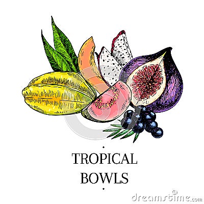 Vector hand drawn exotic fruits. Engraved smoothie bowl ingredients. colored icons. Tropical sweet food. Carambola Vector Illustration