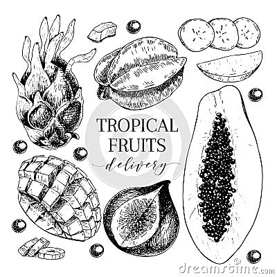 Vector hand drawn exotic fruits. Engraved smoothie bowl ingredients. Tropical sweet food delivery. Pitaya, carambola Vector Illustration