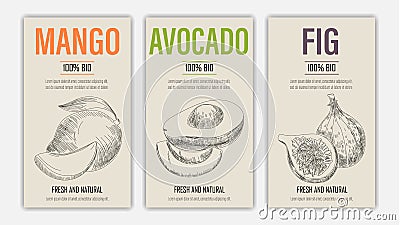 Vector hand drawn fruits of mango, avacado and fig posters. Vintage style healthy food concept for farmers market menu design Stock Photo