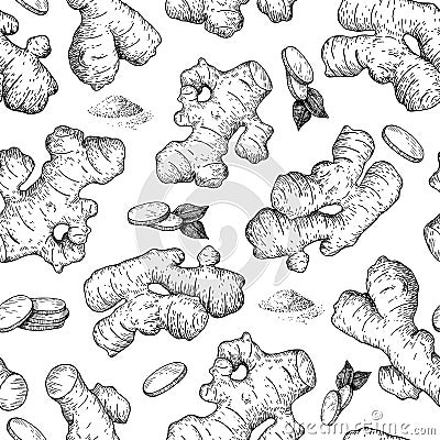 Vector hand drawn Ginger seamless pattern. Ginger root and cuted Vector Illustration