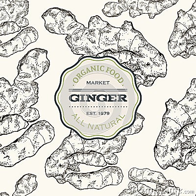 Vector hand drawn Ginger seamless pattern. Ginger root and cuted pieces. Engraved style illustration. Herbal spice Vector Illustration