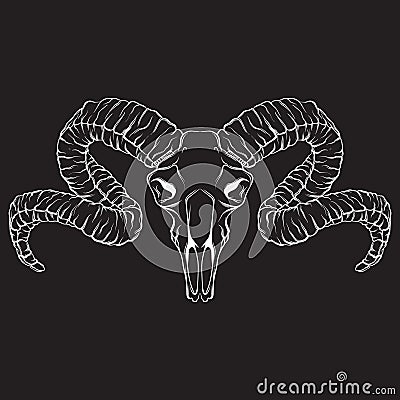 Vector hand drawn illustration. Artwork with skull of ram. Vector Illustration