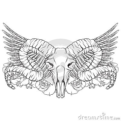 Vector hand drawn illustration. Artwork with skull of ram. Vector Illustration