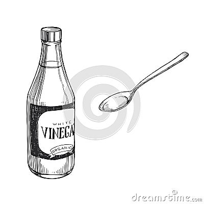 Vector hand-drawn illustration of bottle of vinegar and spoon isolated on white. Sketch with acetic acid for recipe design Vector Illustration