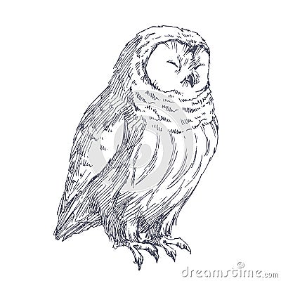 Vector hand drawn illustration of cute smiling owl Vector Illustration