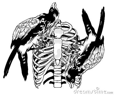 Vector hand drawn illustration of falcon and ribs. Surreal tattoo artwork Vector Illustration