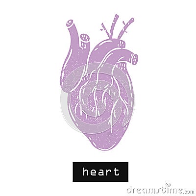 Vector heart body Vector Illustration