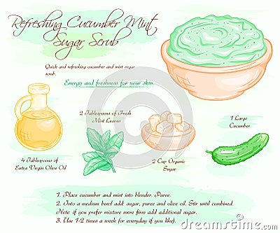 Vector hand drawn illustration of mint cucumber refreshing sugar scrub recipe Vector Illustration