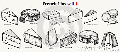 Vector hand drawn illustration of roquefort, brie, goat, morbier, comte, grana padano, valencay, blue cheese with mold . Vector Illustration